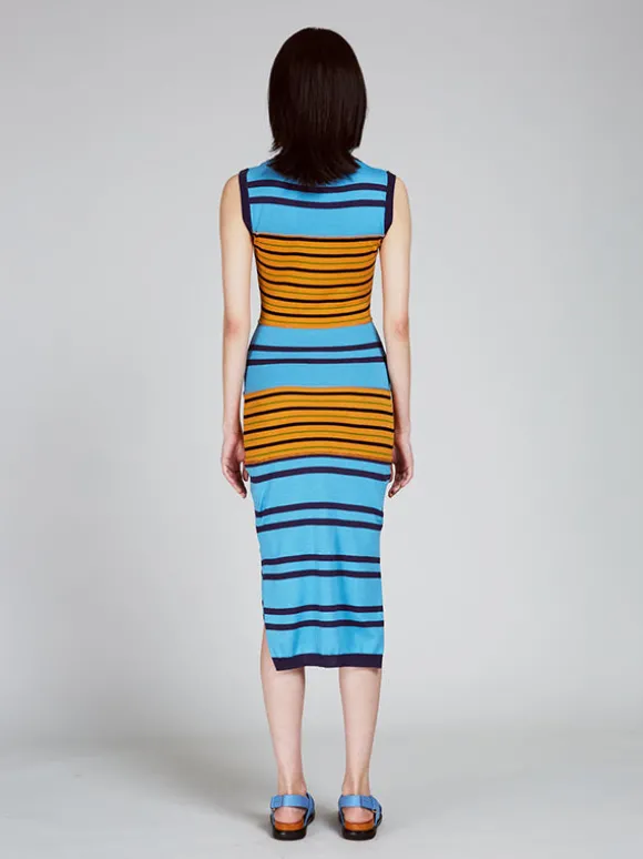 Stripe Knit Dress in Multi